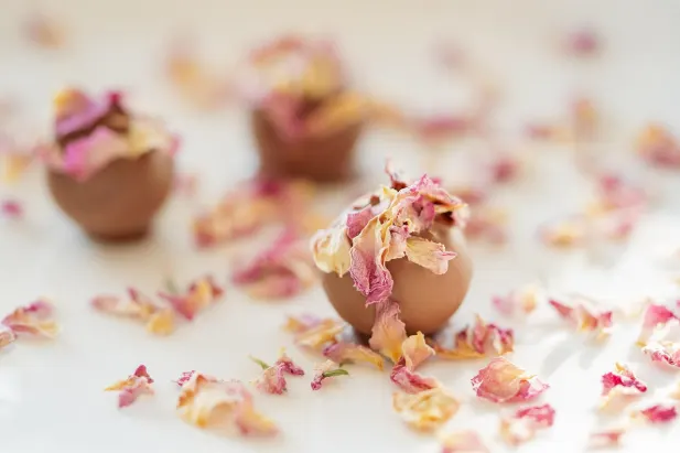 Kazino Fantastic Spins Android/iOS Lietotne